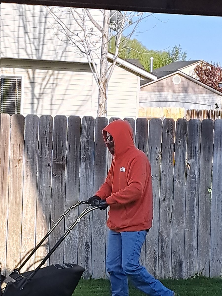 trixey1's tweet photo. When your son has wasps in his yard and dresses like Ted Kaczynski to mow πππ #adulting #waspsbegone #Shenanigans https://t.co/oNmBGORcbv