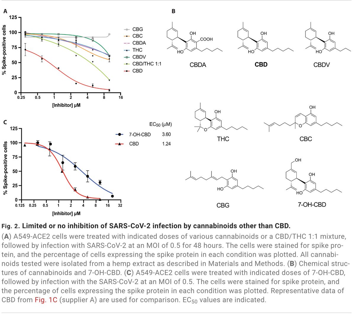 The researchers found that CBD seemed to have a protective effect against SARS-CoV-2. 

When the virus was introduced to human lung cells treated with CBD, it could not replicate and take hold as it usually does.
covid19.nih.gov/news-and-stori…