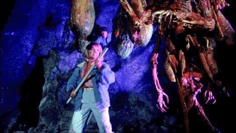EugWSerra's tweet photo. On May 13, 1988, The Nest infested Los Angeles. #TheNest #FrancLuz #LisaLanglois #RobertLansing #RobertKing #TerriTreas #StephenDavies #DianaBellamy #JulieCorman https://t.co/9sKKqckGKC