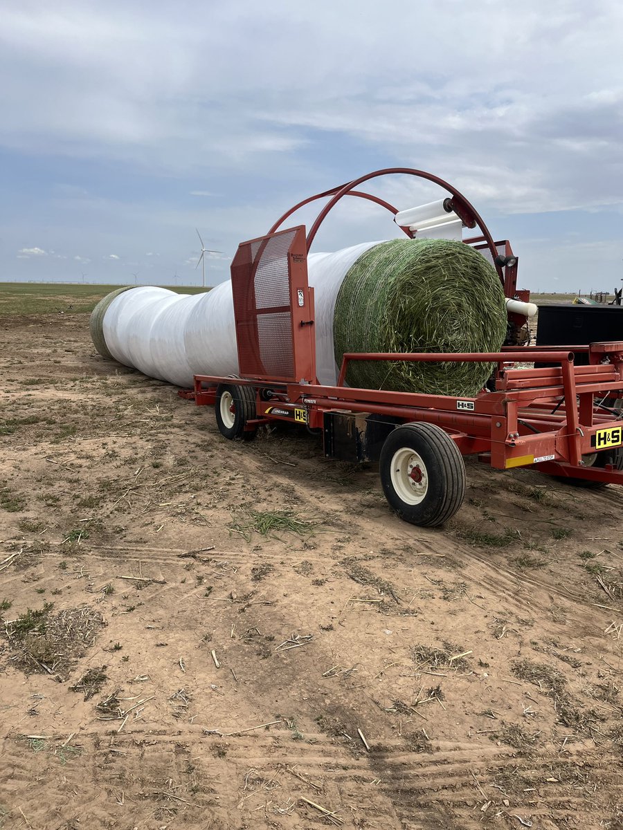 West Texas haylage. 

Words that just sound funny together.