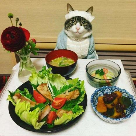 karlcatboy's tweet photo. https://t.co/S0ixVcJ7CK