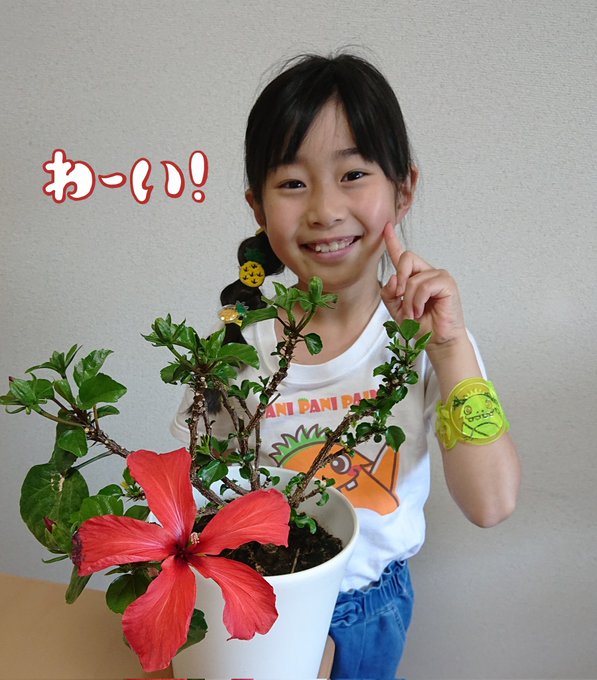 Twitterのコスプレ画像22