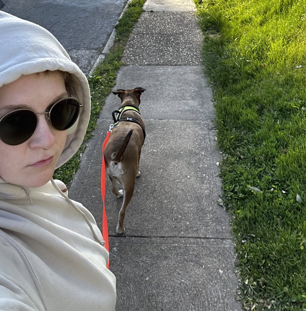 tetospank's tweet image. my dispensary ran out of weed