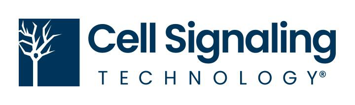 i2sl_'s tweet image. I2SL is proud to have @CellSignal,  which provides innovative research products to accelerate biological understanding, as a Diamond Founding Sponsor of our Labs2Zero program to decarbonize labs. #NetZeroLabs tinyurl.com/4ydcjkt5