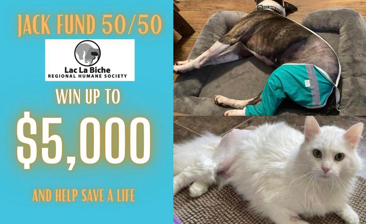 llbrhs's tweet photo. Rafflebox: Help support the Lac La Biche Regional Humane Society Jack Fund 50/50 and have a chance to win some real prizes. https://t.co/01EOywBOZU https://t.co/jU0RFfwv6U