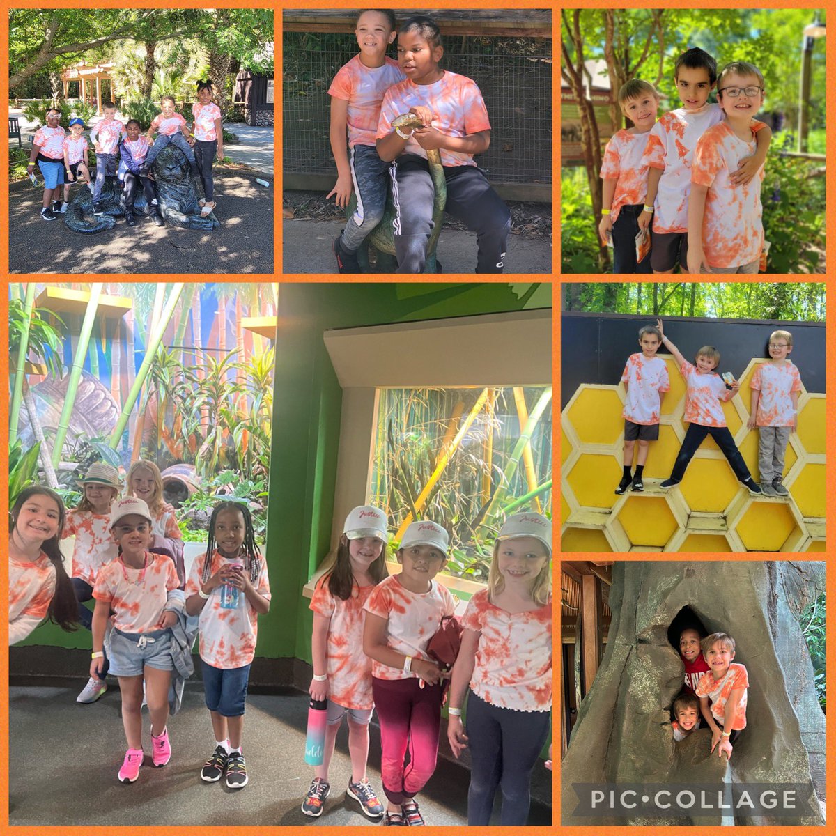MrsTurnerLES's tweet photo. We had SO much fun today at Riverbanks Zoo that we forgot we were learning!! Here’s a small glimpse at all the excitement from today! 🦘🐘🦍🐒
@lexingtonelemsc https://t.co/zUwFdPIvEO