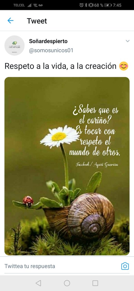 Araceli Álvarez (@araceli_alexand) on Twitter photo 