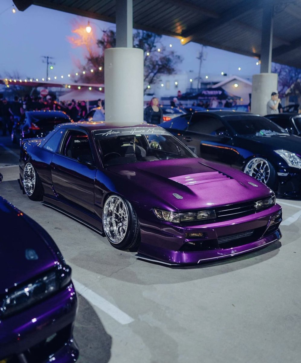 Beautiful Silvia 💜