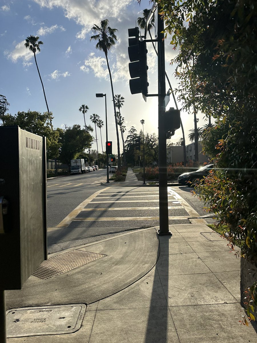 Vincent Vittorio tweet media