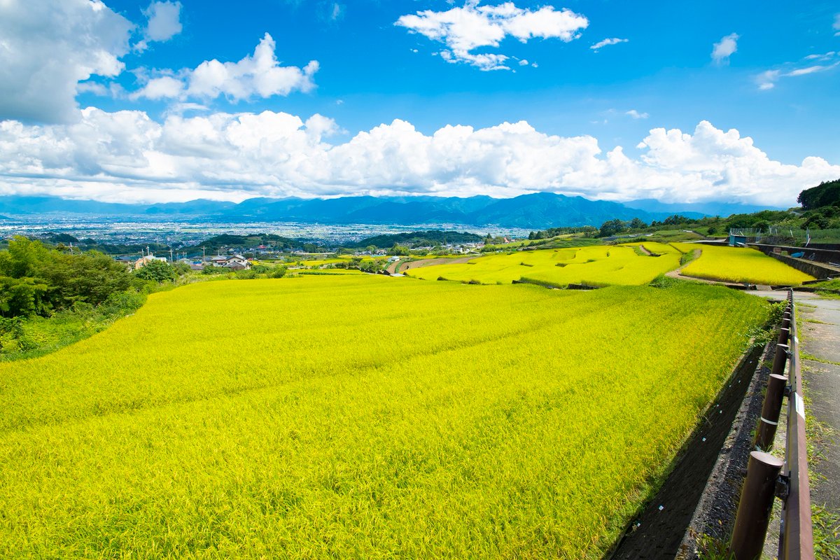 minamialps_gate's tweet photo. この度、新しいフィールドツアー
「The Retreat Journey to Minami Alps～ゆっくり食べて、のんびりしよ～」の販売を開始しました🥰
食事時間日本一を誇る山梨県、「食べ��」を大切にする文化が根付く地域で「丁寧に食べる」を体験する旅に出かけてみませんか？ https://t.co/wJbwFig3WM