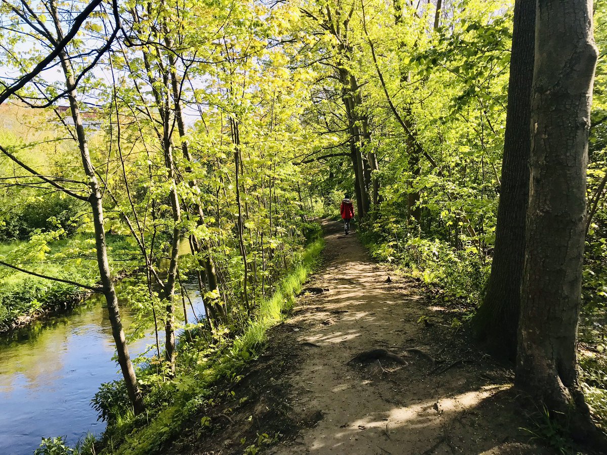 _windingtrail's tweet photo. Our tagline is “adventures beyond the front door” + this little trail by the river is a reminder that you don’t have to go far to find a place that feels wild and special. You can see our building through the trees + hear the traffic on Osloer Straße just a few of metres away… https://t.co/k7cW2lytg6