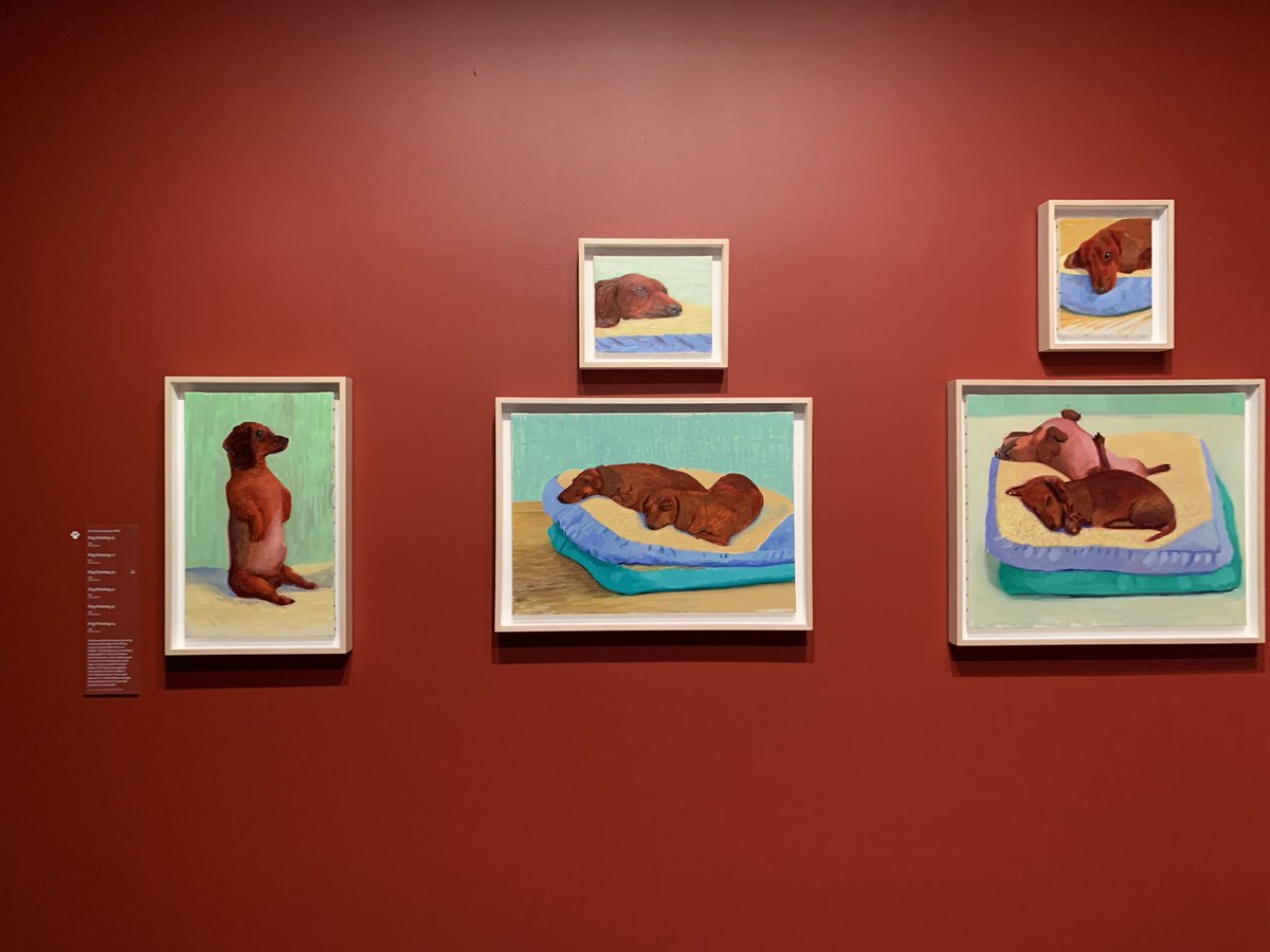 haruno_sudo's tweet photo. Portraits of Dogs展！あんなところに美術館あるなんて知らなかった。Victoria女王700匹も犬飼ってたなんて知らなかった https://t.co/vcSwyPljCW
