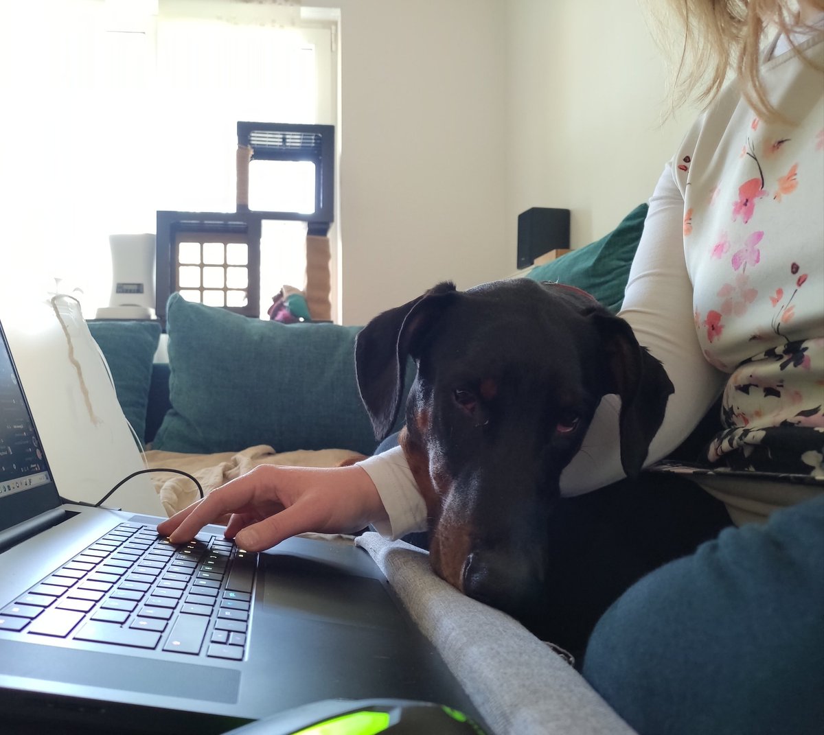 Kerstin Schütt tweet media