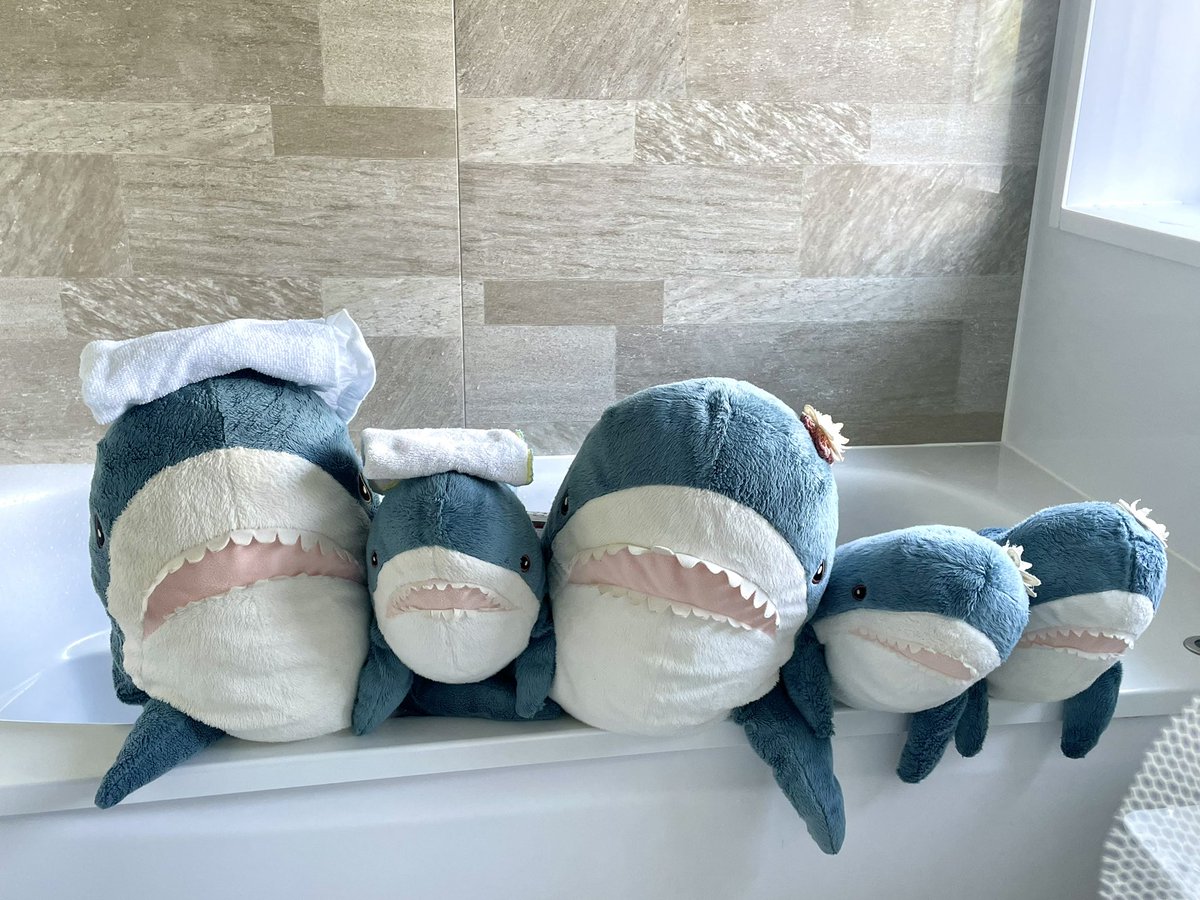 さめとん tweet media