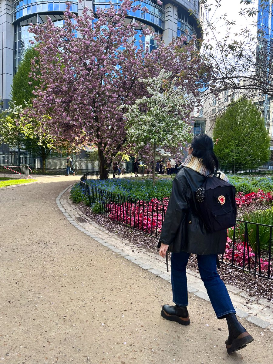 All those MEPs not shooting stock footage in the Leopold Parc now are missing out big time. Just saying. #EuropeanParliament