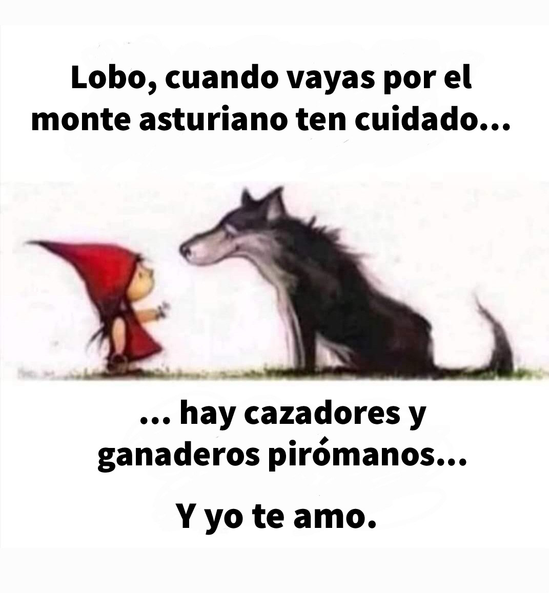Basta de cuentos <a href="/AdrianBarbon/">🌹 Adrián Barbón 💙💛</a> .
Estás dejando Asturias de manos del terrorismo rural. El lobo vuelve a ser tu chivo expiatorio para llenar las urnas. #LoboProtegido #LoboVivo