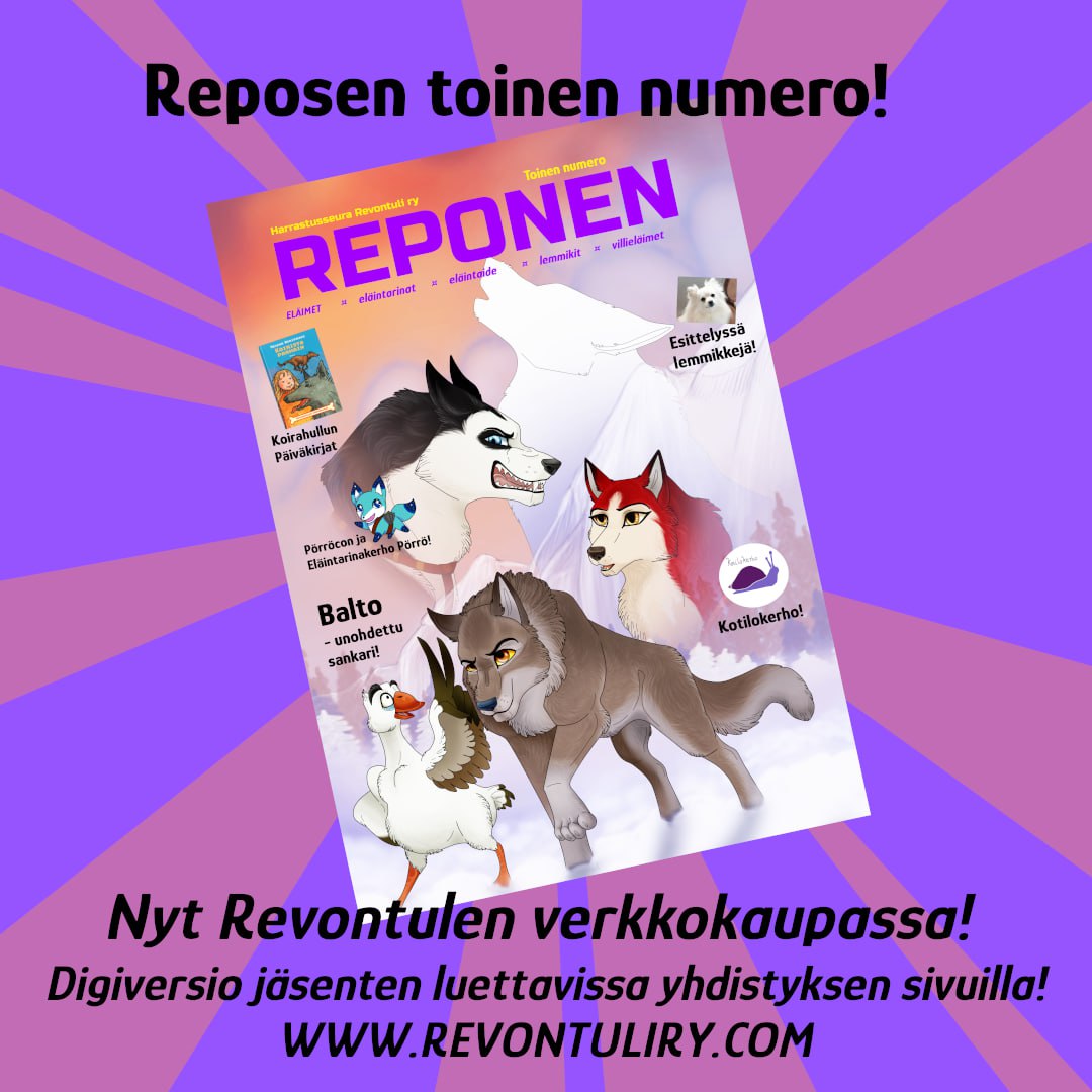 Porroconi's tweet photo. Reposen uudessa numerossa juttu Pörröconista!
https://t.co/xvQMuZbs8C
#eläimet #lemmikit #eläintarinat #lehti #pörröcon #conit #koirat #valokuvaus #marsut https://t.co/CTQM73KUnU