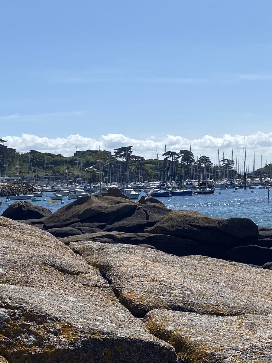 maelialc's tweet image. Toutes les bonnes choses ont une fin…. Au revoir douce Bretagne, mer tant aimée. Retour à Montigny…et au bureau pour rattraper un peu le retard pris durant la semaine à Poitiers, finir le rapport d’activités et aborder ainsi la reprise plus sereinement! #perdir2022