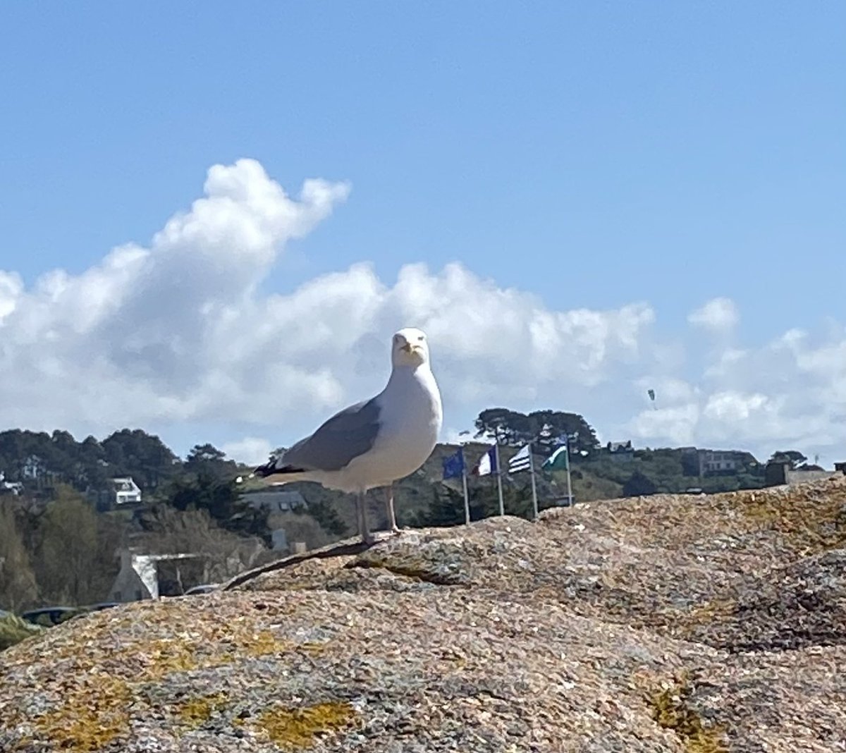 maelialc's tweet image. Toutes les bonnes choses ont une fin…. Au revoir douce Bretagne, mer tant aimée. Retour à Montigny…et au bureau pour rattraper un peu le retard pris durant la semaine à Poitiers, finir le rapport d’activités et aborder ainsi la reprise plus sereinement! #perdir2022