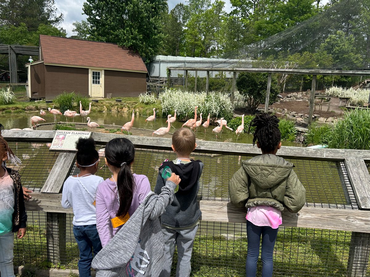We had the best time visiting the Zoo!
