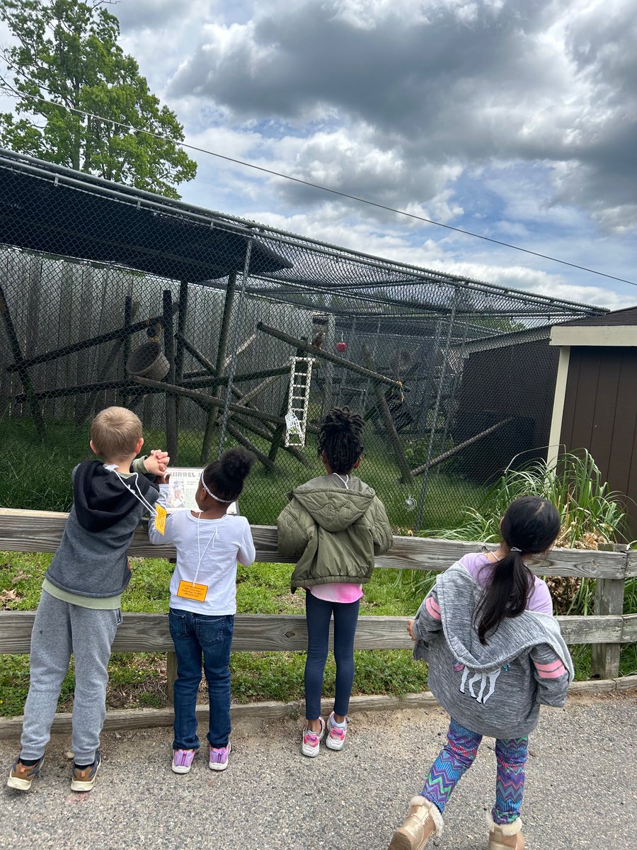 allygal513's tweet photo. We had the best time visiting the Zoo! https://t.co/aPMvPlxc4n