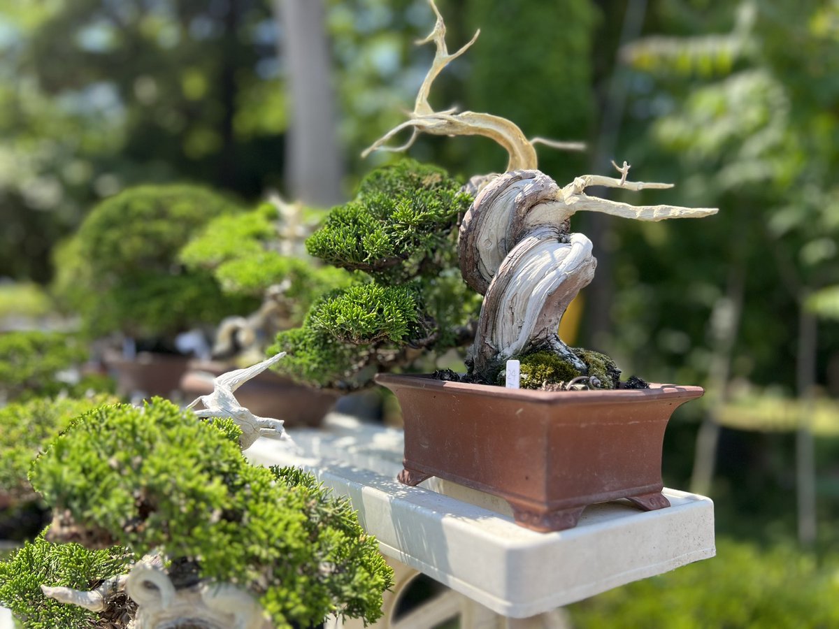 TOUFU TOKYO (@toufu_tokyo) / Posts / X