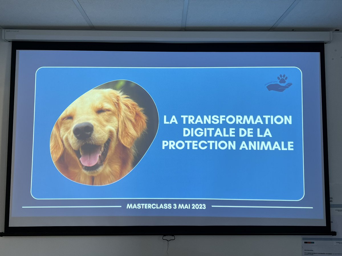 wtaranoff's tweet photo. 🚀Quelques minutes avant le démarrage de la #Masterclass de la #TransfoNum de la #protectionanimale par @AnimalCareMBA du @MBADMB de l’@EFAP_ avec le @HUBInstitute 
@ArnaultChatel @VincentMontet 
 #MBADMB #SPA #digitalisationprotectionanimale #animaux @SPA_Officiel https://t.co/Ew2bFqUKiJ