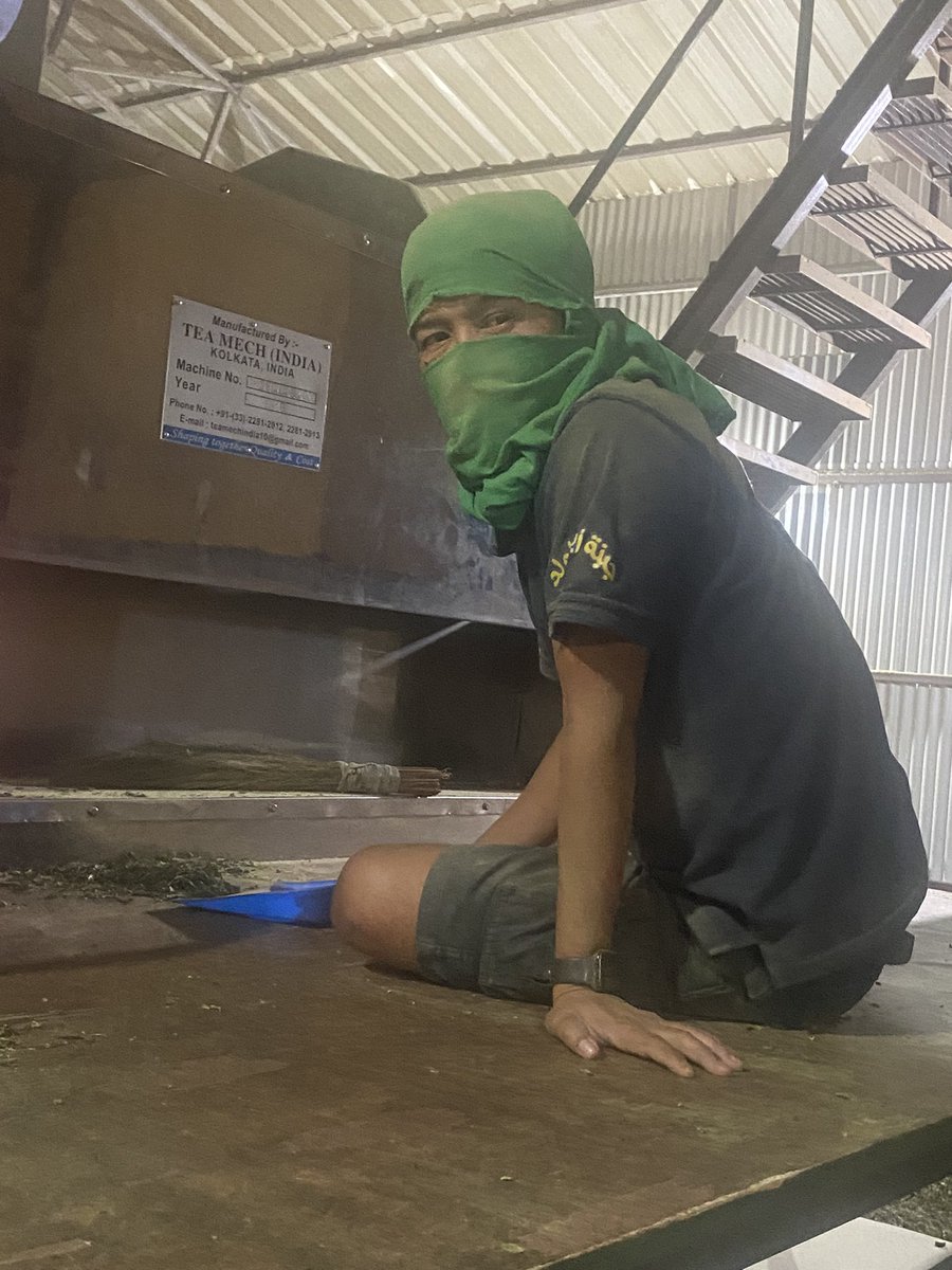 Tea Plantation east Nepal