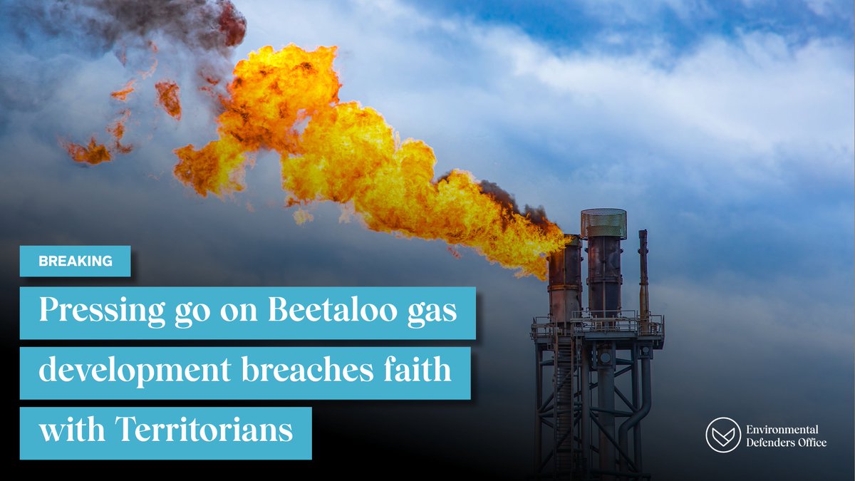 Environmental Defenders Office tweet media