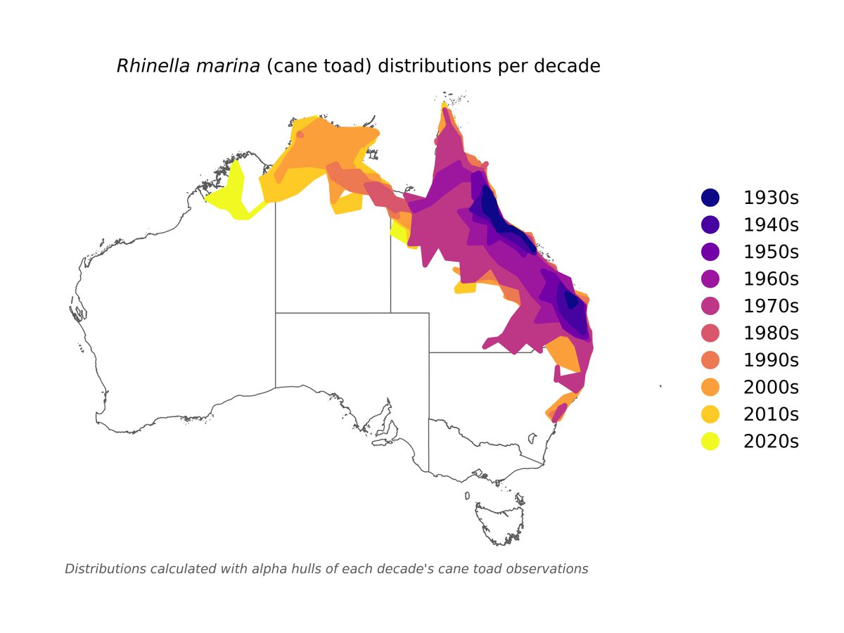 ❗🌏🙅 How far have invasive & introduced species spread in Australia over time? ✅ Check out this new ALA Labs post and learn to use the new Python version of {galah} to visualise invasive species distributions! 🔗 spr.ly/6011Oky1D #Python #dataviz #ALAlabs