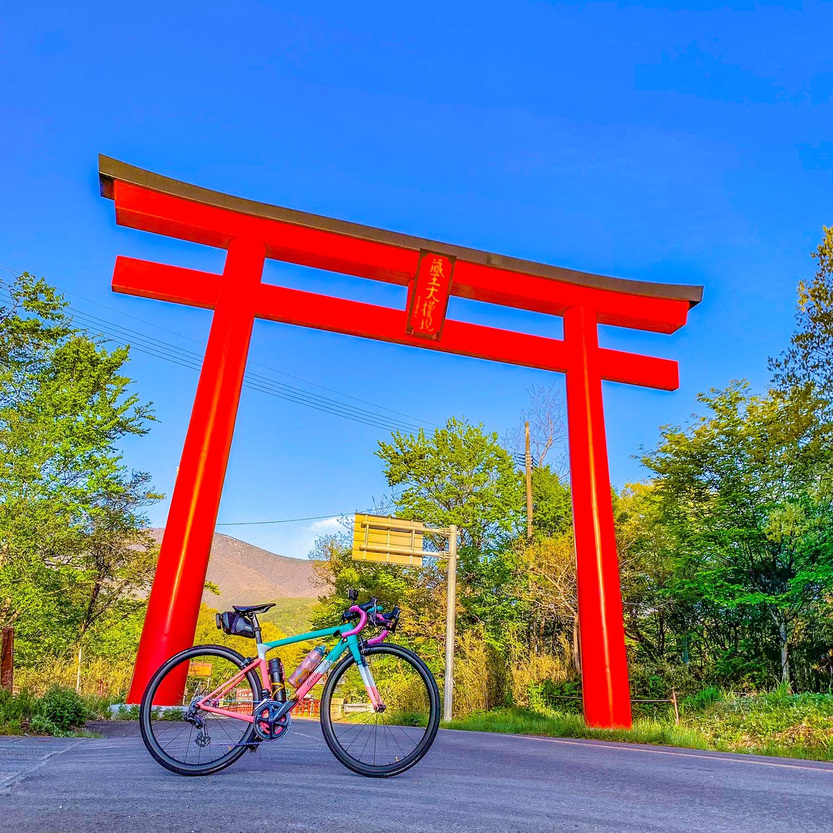 yattsu_EM's tweet photo. 今日は時間の都合で車載
朝の鳥居が眩しい⛩
#宮城 #宮城県 #東北 #ロードバイク #サイクリング #cycle #cycling #yattsustyle #japan #ロードバイクのある風景 #ロードバイク好きな人と繋がりたい #仙南 #名取サイクリングクラブ #nacc #zao #蔵王 #蔵王エコーライン  #ヒルクライム #climb #蔵王町 https://t.co/NdkmprqVTs