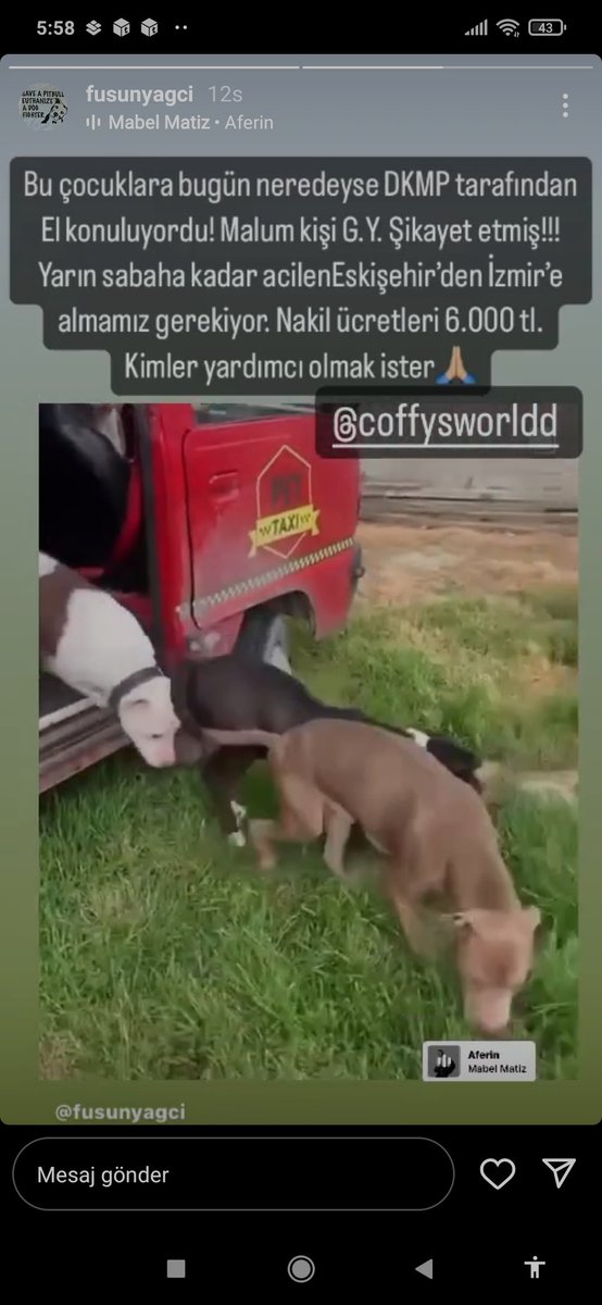 Al işte. Yine aynı şahıs yine dkmpye şikayet. Kendi barınağa gönderdiği köpekleri kurtaran kişileri şikayet edip köpekleri zorla barınağa tiktirma peşinde . Derdi ne ? İfşa oldu diye mi?