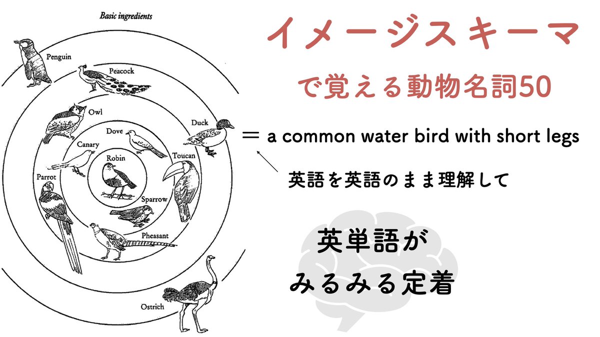 sunafuki_kokugo's tweet photo. イメージスキーマで覚える英単語は身の回りの単語を英語のまま理解するトレーニング動画で、日本語を介さずに単純なシルエットを英語で説明して頭の中にスキーマ(経験に基き作られるイメージ＝意味の心理的枠組み)を形成し、その後のインプットとアウトプットを加速させます。https://t.co/FkTSmGnWgS https://t.co/cAZOWe3aXP