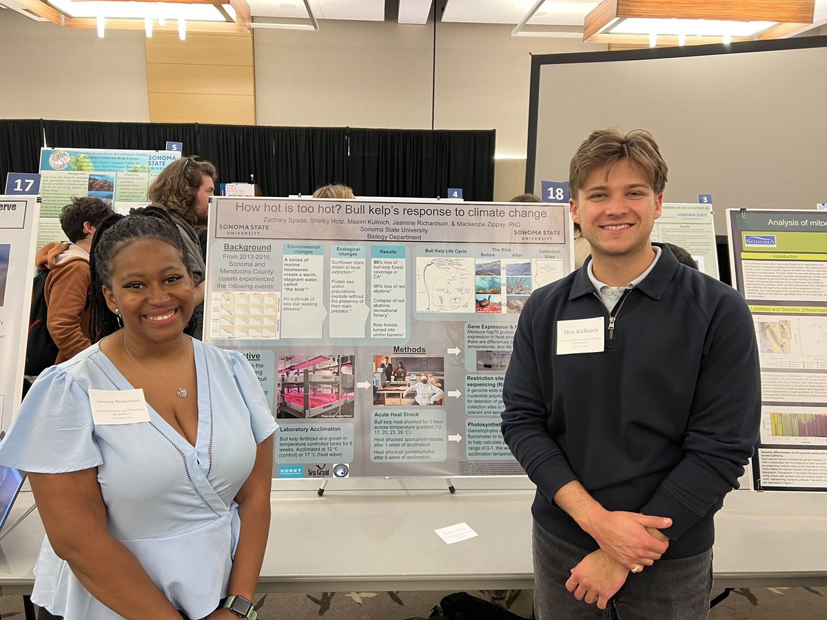 RIOPEREZ's tweet photo. What an amazing afternoon @SSU_1961 annual Science Symposium. True to our Public Liberal Arts and Sciences foundation, our students have the opportunity to work side-by-side with our faculty on research.
#NomaRising
#Publicliberalarts
#educationintoaction
#sonomastateofmind https://t.co/sSe0uDfN0X