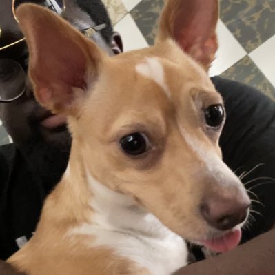 articulatelit's tweet photo. #NewProfilePic https://t.co/jXXn4ETlZV