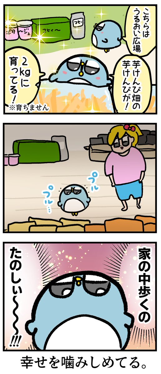 誕生日プレゼントが届いてからの夫の日課