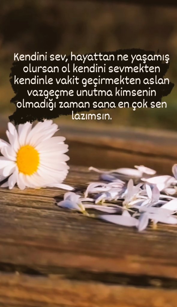 5403hazan's tweet photo. #gunaydinlarrr🌞
#sevmek
  Bana bir ben lazimm birde......
                    🎶🌼☕🍫🌞.... https://t.co/MFc9mdjXmd