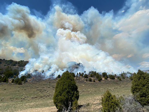 UtahWildfire's tweet photo. #usfsFNF, #FFSL and supporting resources completed ignitions in Unit 7 of #OldWomanSouthRx, with 500 acres burned. To-date, about 1,700 acres of mosaic burning have been completed on the project. #FuelsProjects #UtahSharedStewardship #UtahWRI #CentralUtah https://t.co/nCrHbb4tfc
