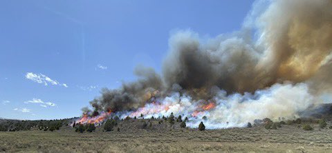 UtahWildfire's tweet photo. #usfsFNF, #FFSL and supporting resources completed ignitions in Unit 7 of #OldWomanSouthRx, with 500 acres burned. To-date, about 1,700 acres of mosaic burning have been completed on the project. #FuelsProjects #UtahSharedStewardship #UtahWRI #CentralUtah https://t.co/nCrHbb4tfc