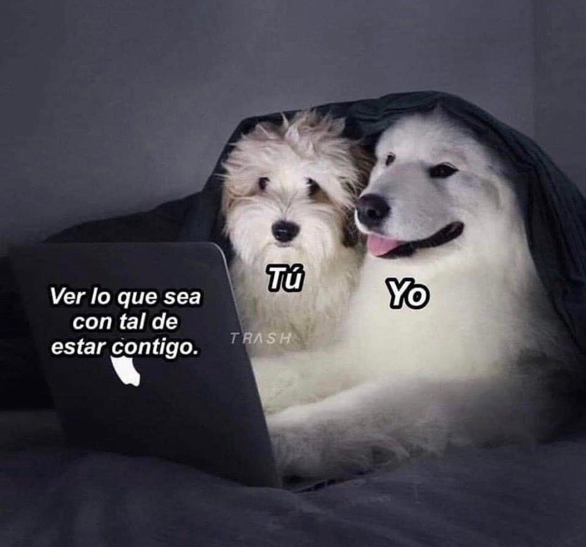 Guarromantico_'s tweet photo. https://t.co/0fItpqZtLi