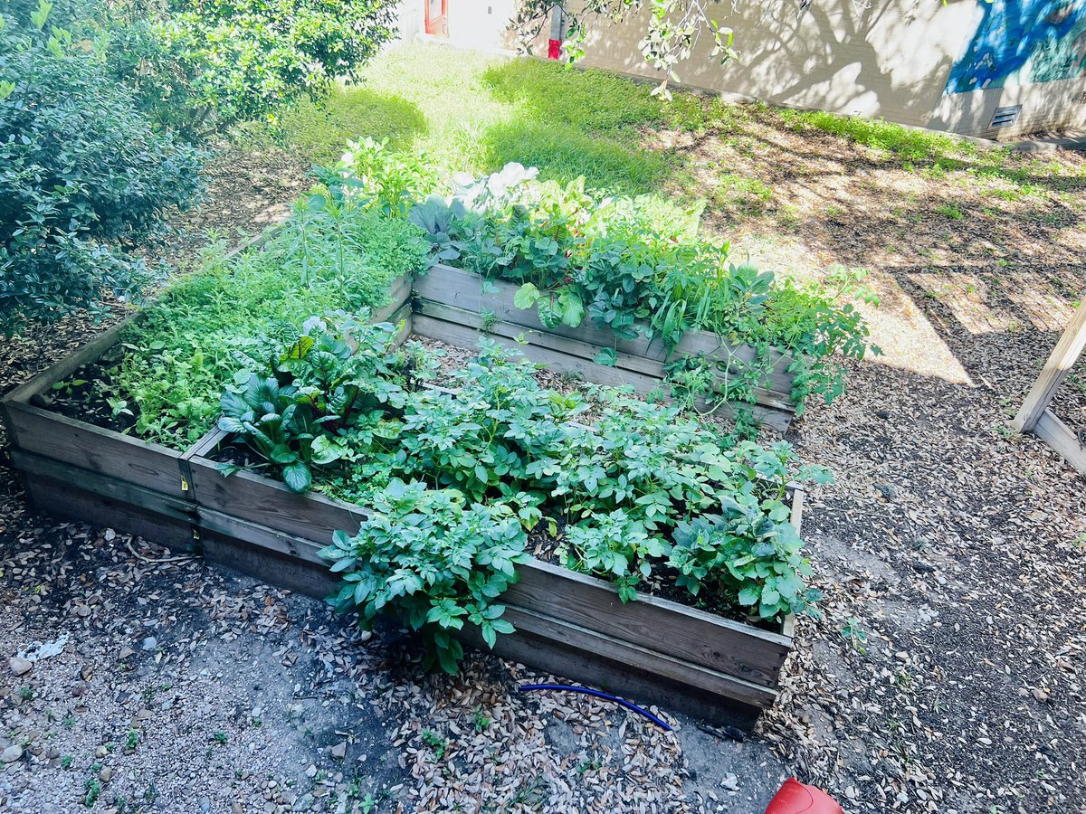 Last week our 2nd graders had their last <a href="/PEAScommunity/">PEAS</a> class for the school year. What an enriching educational experience it has been! Can’t wait for our next group of 2nd graders to participate next school year!