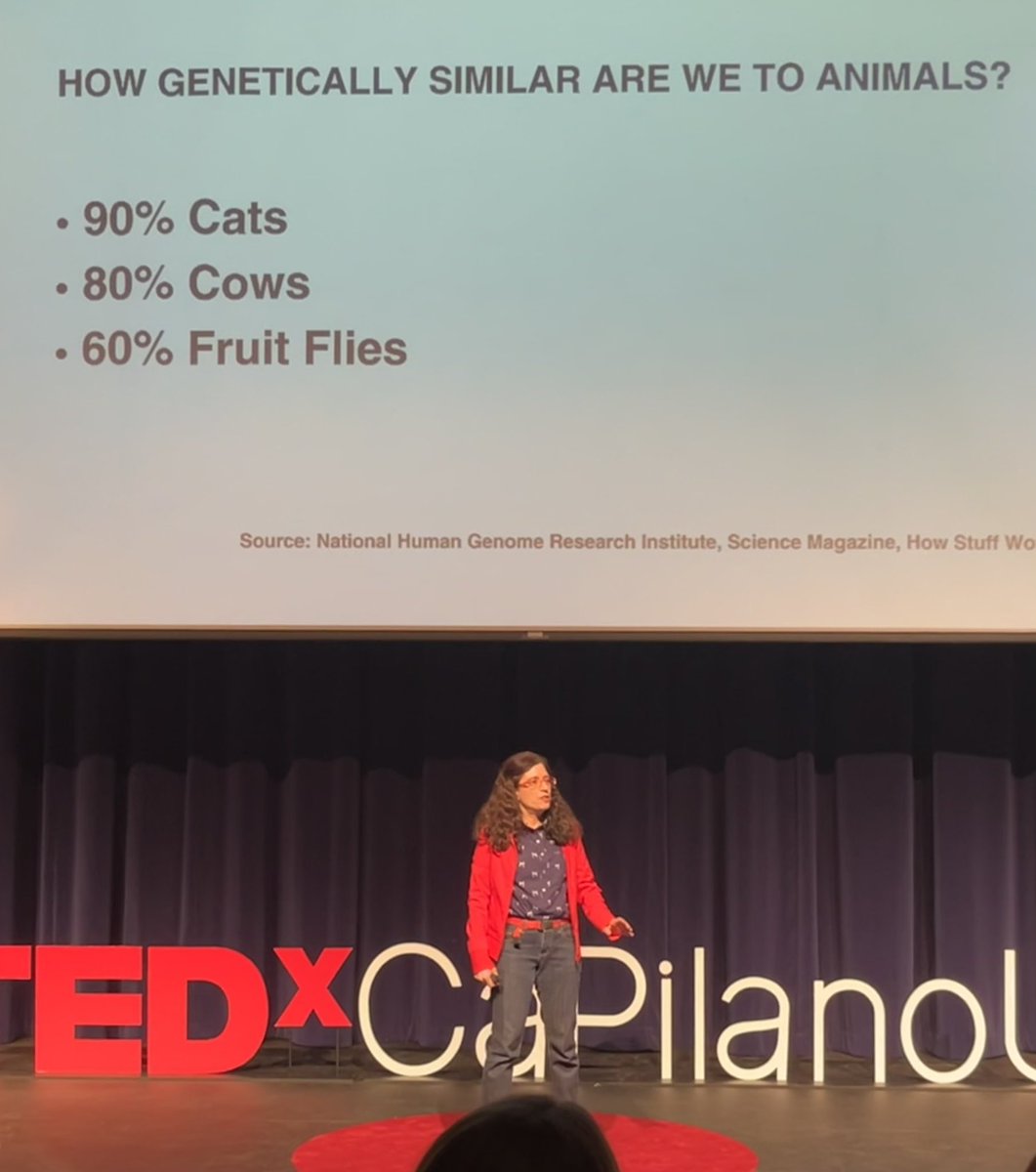 How genetically similar are we to animals? asks our School of Legal Studies instructor @shroffanimallaw at tonight’s enlightening @Tedx @CapilanoU  ted.com/tedx/events/53… #tedxcapilanou #coexistence #animalsaresentient