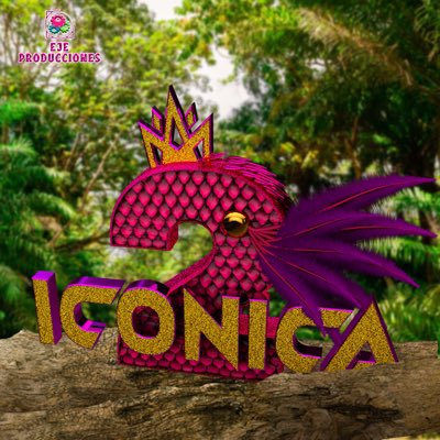 Iconica Mx tweet media
