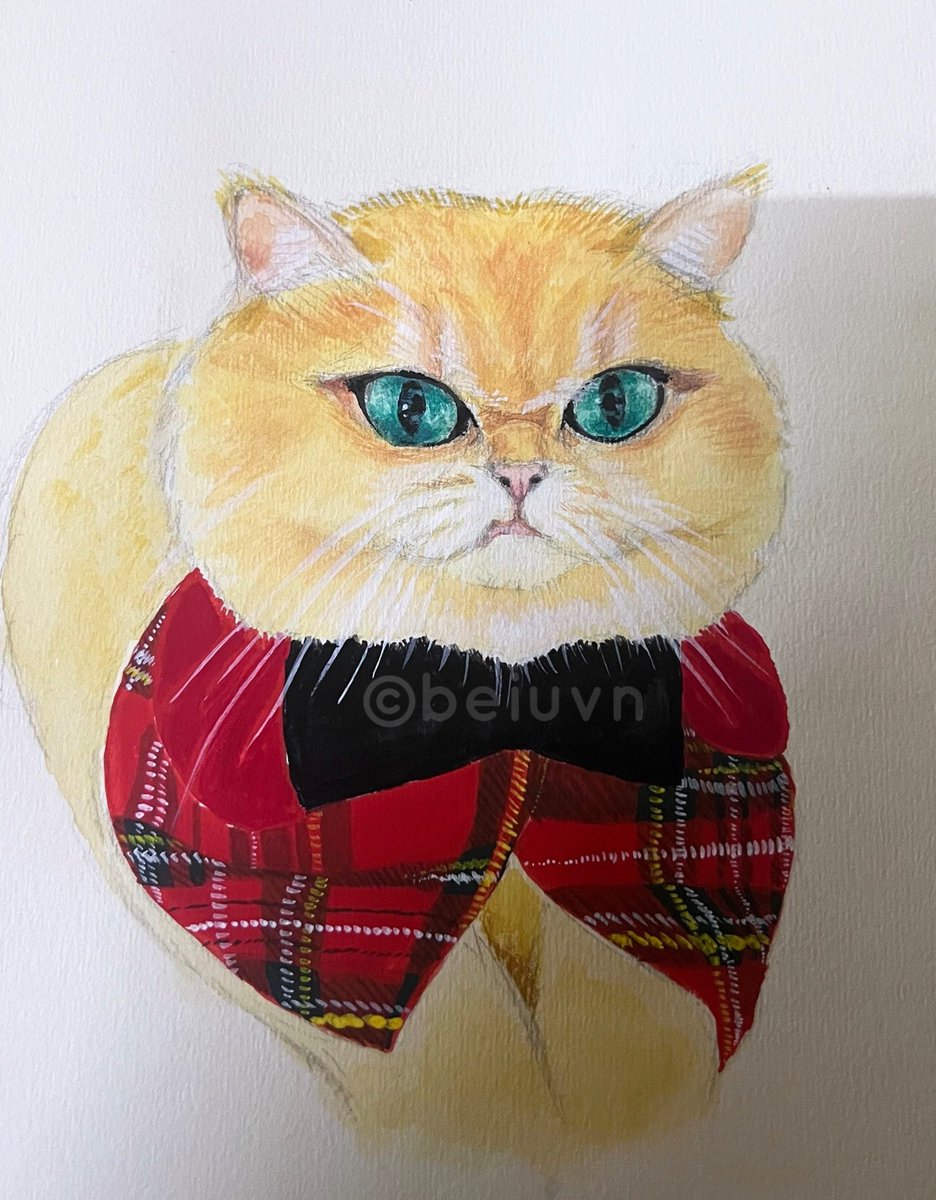 zayi 簪英 tweet media