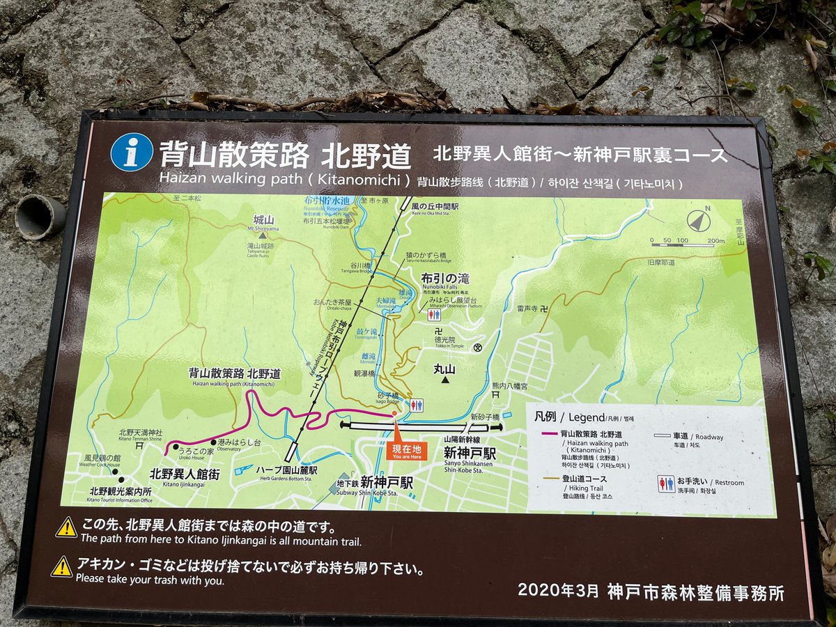 『すずめの戸締まり』の聖地に行ってみたら

その奥は鬼滅の刃の世界でした(妄想)😎

新神戸駅裏コースって。。さらに妄想が。。

#すずめの戸締まり #新神戸駅 #藤の花 #聖地巡礼
#SuzumenoTojimari #kimetsunoyaiba