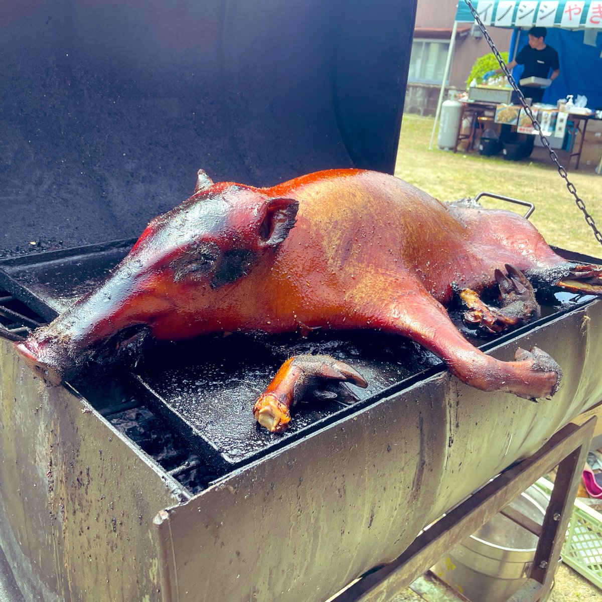 14時からイノシシの丸焼きが無料で配られるらしい🤩

美味しそう🤤
 #波佐見陶器まつり @HasamiMocco