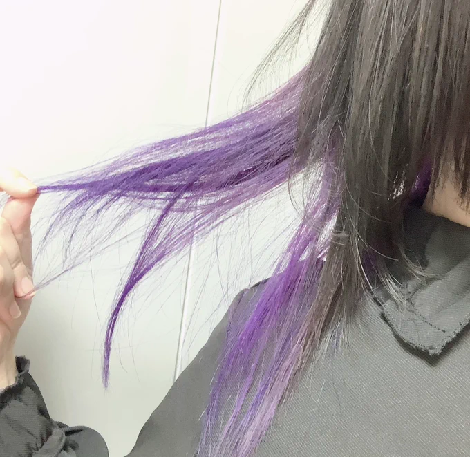 かわちよのふじだ