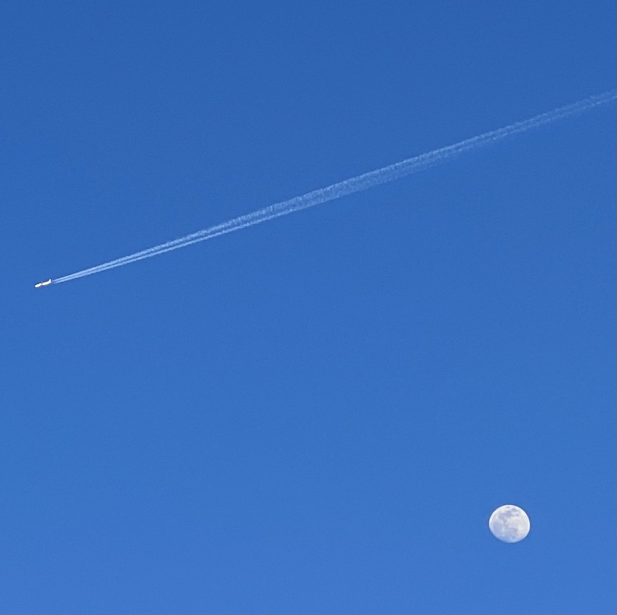 Tom Kaplan tweet media