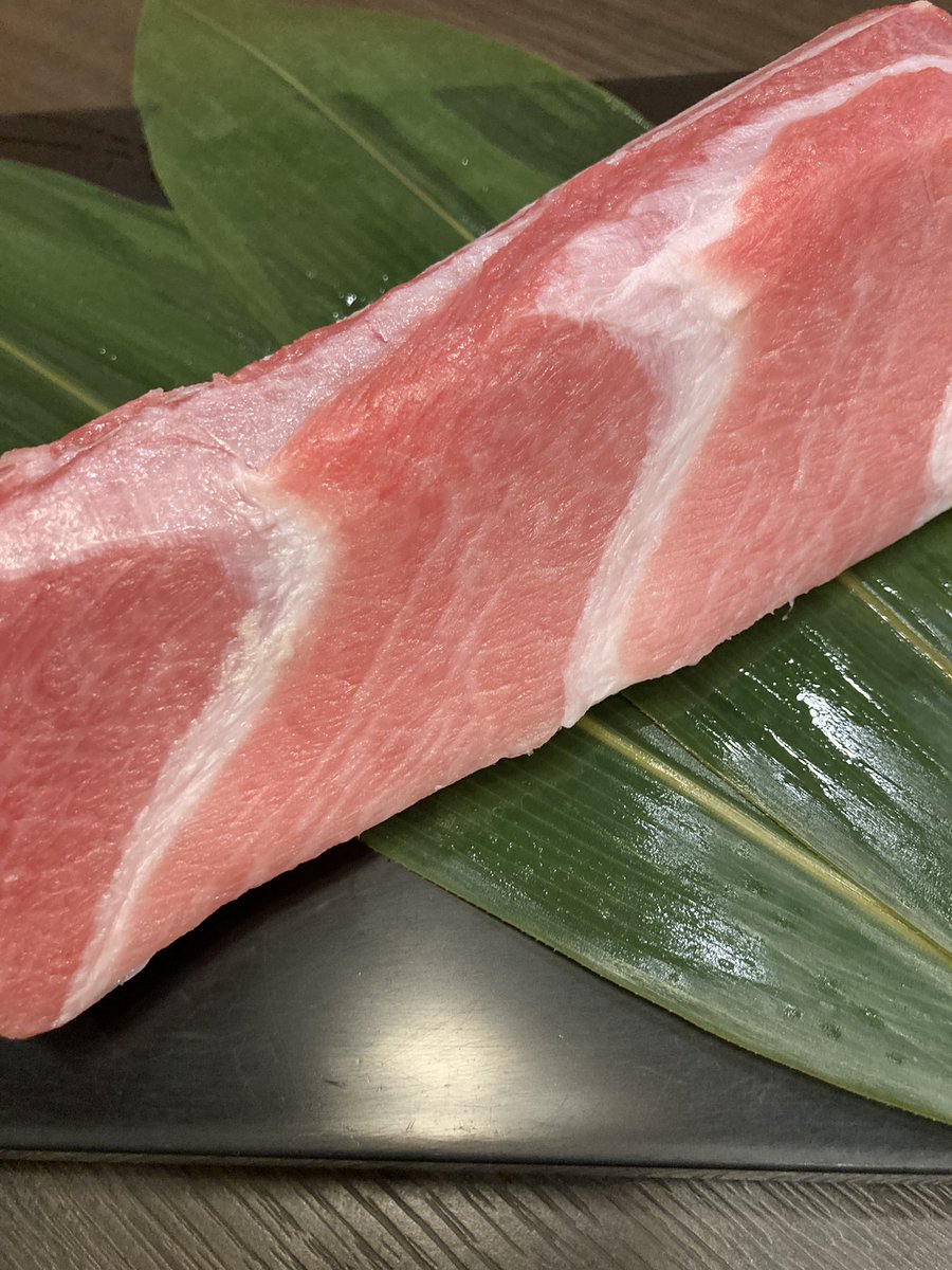 Hyoutan_19's tweet photo. 本日より５日間‼️‼️
"本マグロ大トロ"入荷中です✨🐟
刺身や握りでぜひ🙌🏻🍣
ご来店お待ちしております☺️

#本マグロ ＃大トロ 

＃長野 ＃信州  ＃信州の安心なお店  ＃感染症対策中 ＃ひょうたん ＃寿司 ＃信州そば ＃軽井沢 ＃御代田 https://t.co/AV4vur5Wsl
