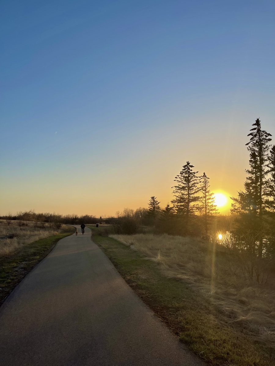 It was a beautiful evening to walk 5km with my side kick Wren to raise awareness for mental health in Agriculture. With a busy season ahead, don’t forget to take care of yourself. You and your mental health matter. 🌾🤍🐩  #WinFieldJourneyForAg #Journey5k #DoMoreAg